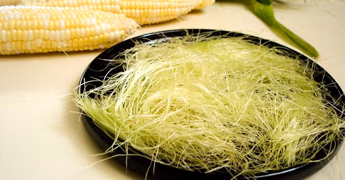 Nước râu ngô: Theo y học cổ truyền, râu ngô có vị ngọt, tính bình, có thể dùng tươi hoặc phơi khô nấu thành nước uống hàng ngày, có thể cho thêm mía lau, lá dứa. Nước này dùng uống thay nước lọc hàng ngày rất tốt cho những người bị bệnh cao huyết áp, tiểu đường. Ảnh: Internet. Video "Chế biến món ngon từ nấm đông cô". Nguồn: VTC.