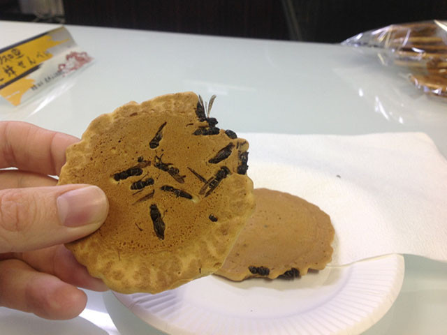  Bánh quy ong bắp cày trong tiếng Nhật tên là Jibachi Senbei. Để có được món bánh chuẩn vị, người ta phải cất công tìm kiếm những chú ong đen nhánh trong khu rừng gần thị trấn Omachi, tỉnh Nagaro.