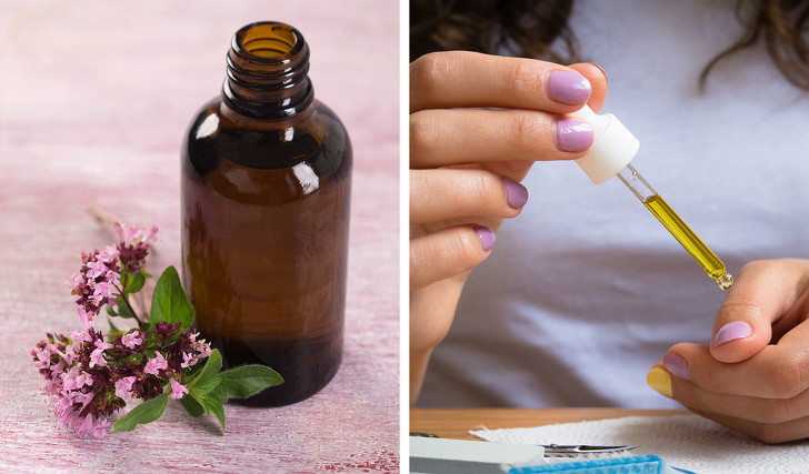 Giống như tinh dầu tràm trà, tinh dầu oregano cũng có khả năng kháng viêm, chống vi khuẩn hiệu quả nhờ chứa lượng lớn thymol. Nếu gặp phải các vấn đề liên quan đến vi khuẩn, nhiễm nấm… bạn có thể dùng oregano để bôi chữa móng tay giòn yếu.
