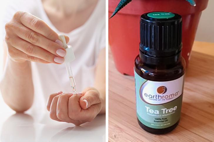 Tinh dầu tràm trà không chỉ có tác dụng trong việc điều trị mụn mà còn có thể giúp móng tay khỏe hơn nhờ có tính kháng viêm, chống nấm móng. Thoa trực tiếp sản phẩm lên tay hoặc thấm vào bông tẩy trang và đắp lên tay trong vài phút.