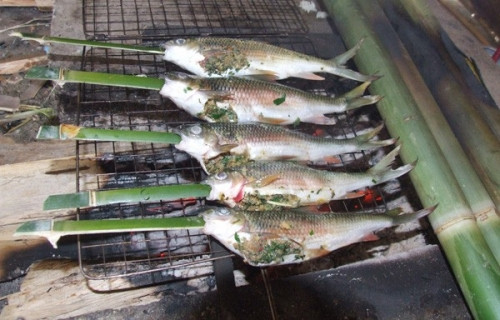 Cá mát sông Giăng: Thịt cá mát rất lành, bổ, thơm ngon, hơi có vị đắng vì khi chế biến không vứt bỏ ruột (ruột cá rất sạch vì chủ yếu ăn thức ăn thực vật), mỡ béo ít xương và ngon nhất là phần đầu.