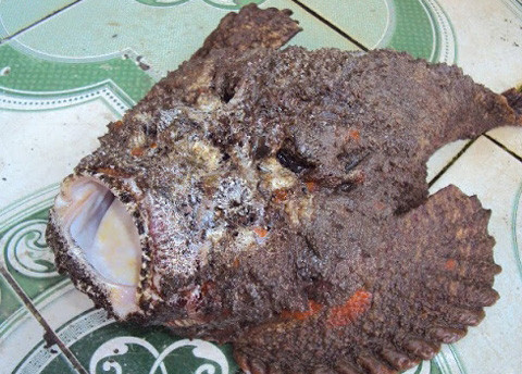 Khác với vẻ bề ngoài xấu xí đến gớm ghiếc, thịt cá mặt quỷ lại được xem là đặc sản. Miếng cá trắng, thịt cá thơm khi ăn có vị dai, ngọt như thịt gà lại có phần giòn giòn như tôm hùm, có thể làm vừa lòng ngay cả những thực khách khó tính nhất.