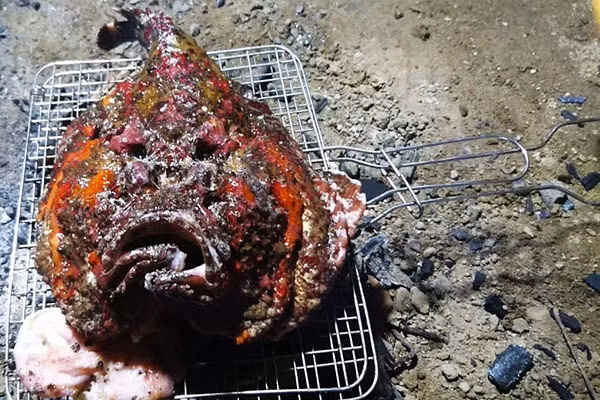 Món cá mặt quỷ nướng muối ớt lại cho thực khách cảm thấy một hương vị rất riêng. Với vị béo nhưng không ngậy, thịt ngọt dai, cá mặt quỷ nướng muối ớt sẽ đặc biệt hấp dẫn với những ai sành ăn và biết về loại cá này.