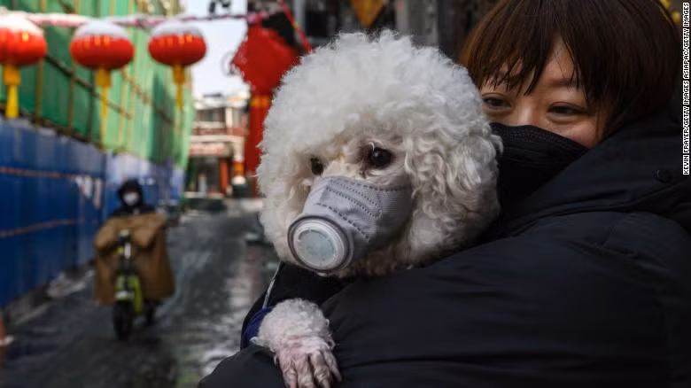 Phat hien thu nuoi nhiem SARS-CoV-2, nhom doi tuong nao kho bi lay nhiem?