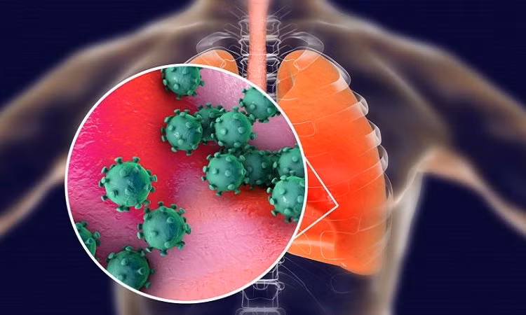 Can benh COVID-19 tan cong co the con nguoi kinh khung the nao?-Hinh-2