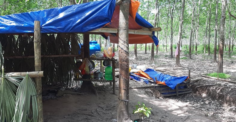 Bo di chong dich COVID-19, chi nhin con ra doi qua dien thoai-Hinh-9