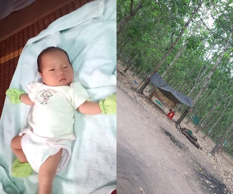 Bo di chong dich COVID-19, chi nhin con ra doi qua dien thoai-Hinh-5