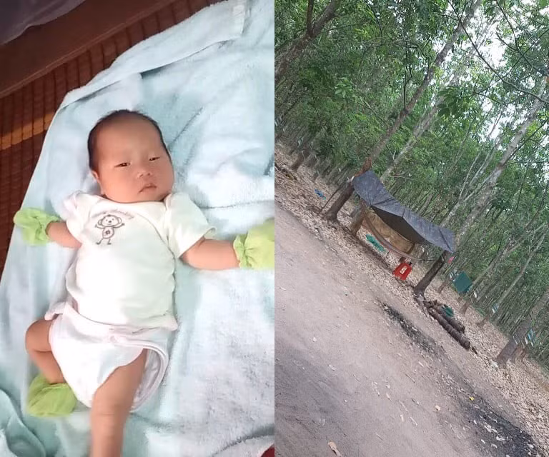 Bo di chong dich COVID-19, chi nhin con ra doi qua dien thoai-Hinh-5