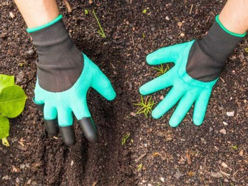 Ha Noi co ca Whitmore tien luong tu vong cao: Cach phong benh ra sao?-Hinh-2