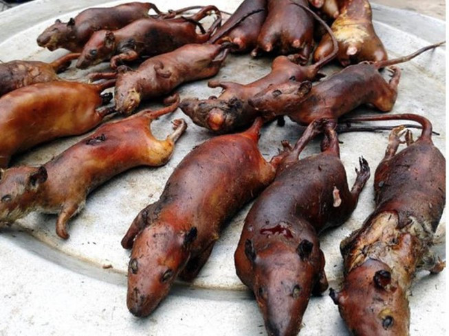 Thịt chuột nguyên con: Điều khiến cho người ta phải sợ món ăn này chính là chuột mang đi nướng nguyên con, còn có cả lông và bộ lòng bên trong. Chắc chắn không nhiều người đủ can đảm thử món này.