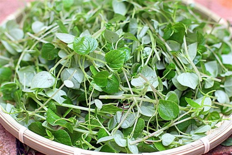 3. Canh rau càng cua gồm các nguyên liệu: 1 mớ rau càng cua (số lượng tùy ý bạn thích ăn nhiều hoặc ít), 100g thịt nạc (heo hoặc bò), Gia vị nêm canh.