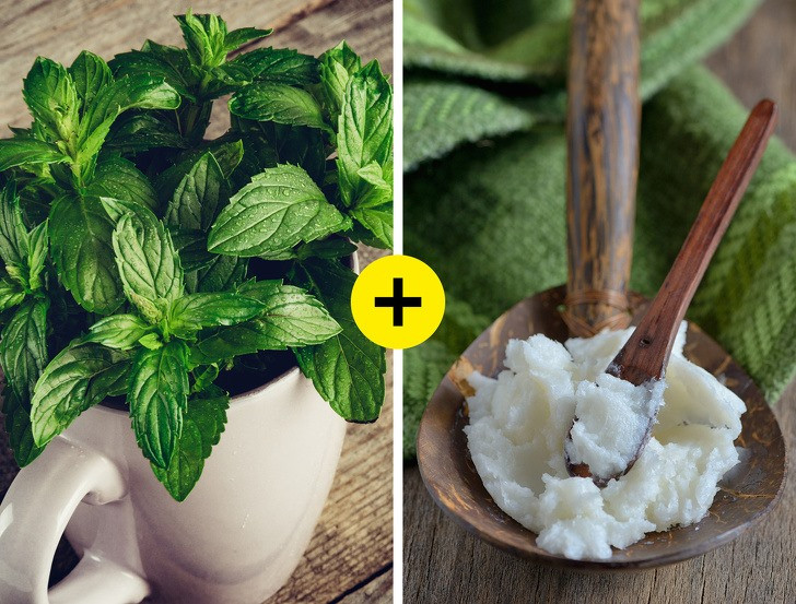 4. Lá bạc hà và dầu dừa: Nghiền 3-5 lá bạc hà rồi thêm vào một ít dầu dừa. Trộn đều và thoa hỗn hợp lên răng bằng bàn chải đánh răng, sau đó súc miệng thật sạch. Đây chính là cách giúp hàm răng trắng sáng hơn tại nhà.