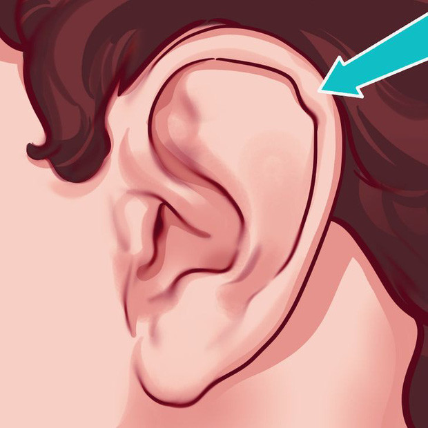 5. Đôi tai Darwin (Darwin’s tubercle) hay còn gọi là "sụn tai Darwin". Dấu hiệu nhận biết một người sở hữu đôi tai này, đó là có một phần sụn nhỏ lồi lên phía vành tai. Lý do có cái tên như vậy là vì Darwin chính là người đầu tiên đề cập đến nó. Đôi tai này khá vô dụng, chỉ là một phần còn sót lại của quá trình tiến hóa thôi.