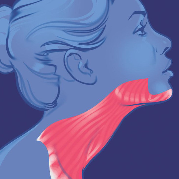 8. Cơ da cổ - Platysma muscle: Phần cơ này trải dài từ phần cổ trước tới tận ngực. Tác dụng lớn nhất của phần cơ này là vì mục đích thẩm mỹ, cho phép con người thực hiện một số biểu cảm rõ hơn trên khuôn mặt, đặc biệt là ở vùng miệng. Có điều theo các nhà khoa học, đây cũng là một bộ phận còn sót lại từ quá trình tiến hóa. Ảnh: Internet. Mời độc giả theo dõi video "Dầu thực vật có thực sự tốt cho sức khỏe?". Nguồn: VTC.