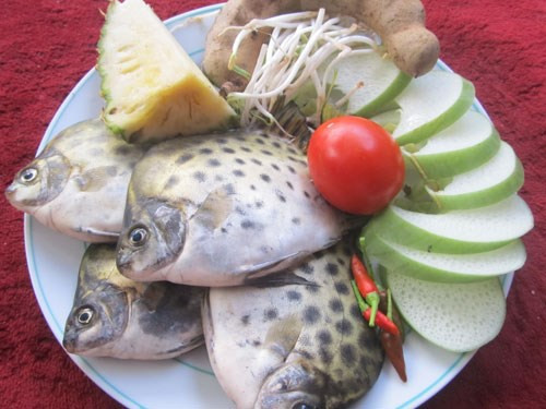 Nguyên liệu: Cá hói, xương ống, cà chua, mẻ, rau sống, khế, hoa chuối, rau cần, nấm, hành răm, thì là, gia vị.