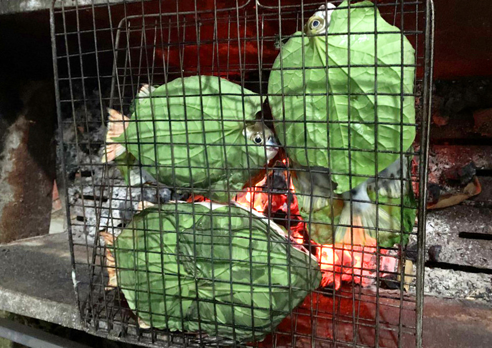 Cá được xiên hoặc bọc lá lốt đưa lên vỉ nướng, lật đều 2 mặt trên than hoa. Cá hói nướng có thể cháy xém da ở ngoài nhưng phần thịt bên trong không hề bị ảnh hưởng. Cá hói chín quyện mùi thơm lá lốt, thực sự kích thích vị giác của bạn.