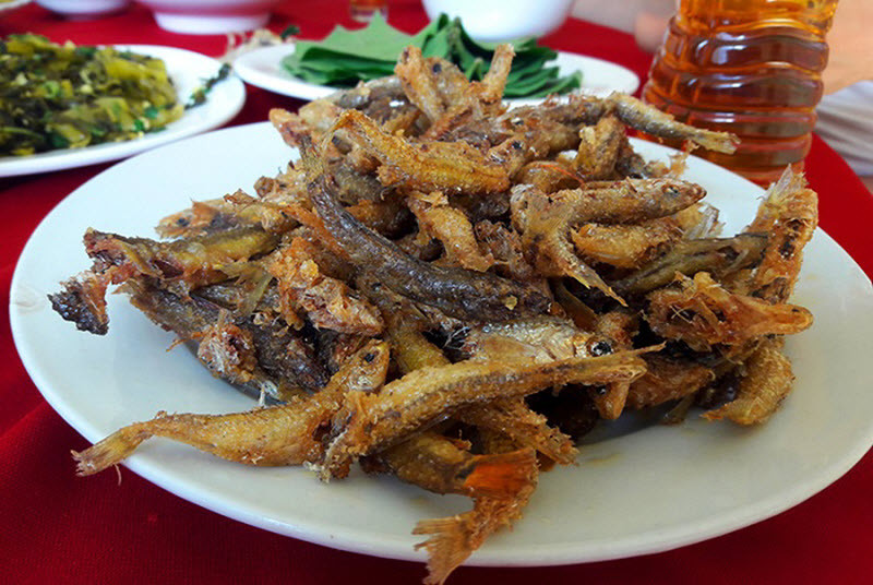 Cá suối Sapa: Đến Sapa, bạn cũng không nên bỏ qua món cá suối chiên hoặc nướng mà ít nơi nào có được. Cá suối ở đây lớn cỡ 2-3 ngón tay. Cá suối có nhiều loại và điều đáng nói là không hề có vị tanh. Cá suối nhiều xương nên người vùng cao chỉ chiên giòn để ăn cả xương lẫn thịt chứ không nấu riêu hay kho, hấp…