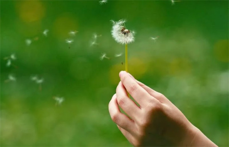 Tha thứ là sức mạnh: Hãy nhớ rằng đôi khi tha thứ cho ai đó không phải vì họ xứng đáng được tha thứ mà bạn xứng đáng được bình yên.