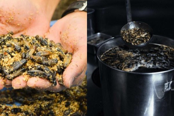 Để làm được bát mì ramen dế, người đầu bếp phải sử dụng hơn 100 con dế tính cả làm mì và nấu nước tương. Tất nhiên, sợi mì dế là sự phải pha trộn theo công thức đã qua nhiều lần thử nghiệm giữa bột dế và bột mỳ ngon từng làm ra loại mì maruyama nổi tiếng ở Tokyo.