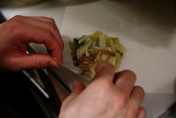 Thực khách cũng có thể gọi một phần đầy đủ gồm: mì ramen sâu bọ, cơm vị dế, món cuốn từ nhộng chiên giòn và tráng miệng là món kem được rắc bột côn trùng.