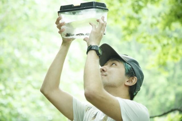 Công ty sản xuất mì dế còn cho ra đời loại bia dế, dế luộc và trà sữa nhộng. Chủ sở hữu của công ty và đầu bếp Yuto Shinohara đều là những chuyên gia côn trùng học. Họ đã nghiên cứu và đưa côn trùng vào đồ ăn hàng ngày hơn 20 năm qua.