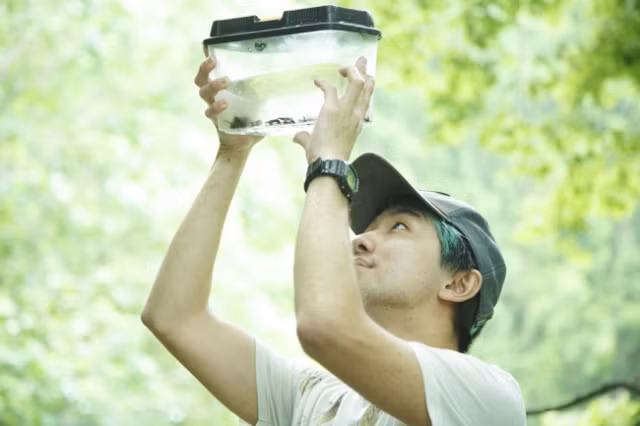 Công ty sản xuất mì dế còn cho ra đời loại bia dế, dế luộc và trà sữa nhộng. Chủ sở hữu của công ty và đầu bếp Yuto Shinohara đều là những chuyên gia côn trùng học. Họ đã nghiên cứu và đưa côn trùng vào đồ ăn hàng ngày hơn 20 năm qua.