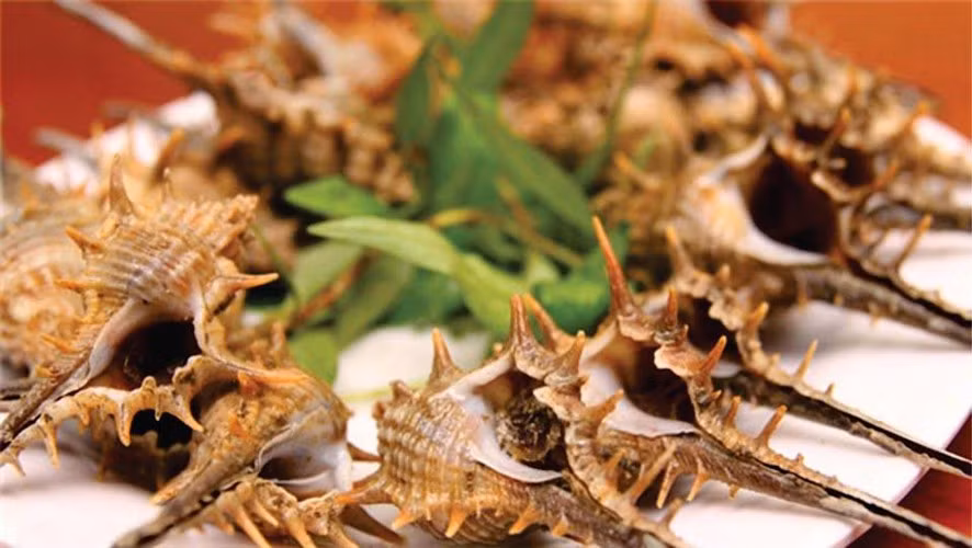 Cũng như những loài ốc khác, ốc gai có thể chế biến được thành nhiều món ngon. Có người mê mẩn với ốc gai nướng mỡ hành, có người thích xào sả ớt, còn với ai muốn đơn giản thì hấp sả là nhanh nhất và cũng là cách để người ăn cảm nhận đủ cái vị lạ của loại ốc này. Ảnh: Internet. Mời độc giả theo dõi video "Chế biến món ngon từ nấm đông cô". Nguồn: VTC.