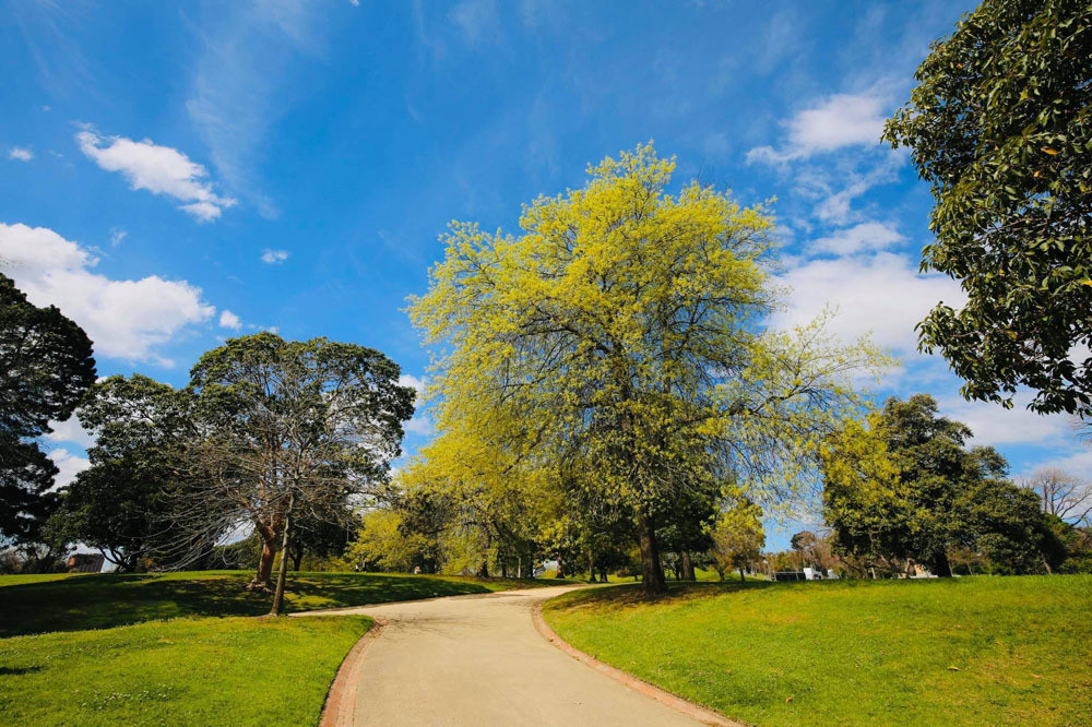 Bi vo bat tai tran ngoai tinh, chong noi loi cay nghiet ngay cua khach san