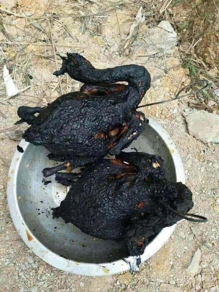 Chủ nhân của món gà quay "bóng đêm" thật sự quá vụng bếp. Ảnh: FB. Video "Chế biến món ngon từ nấm đông cô". Nguồn: VTC.