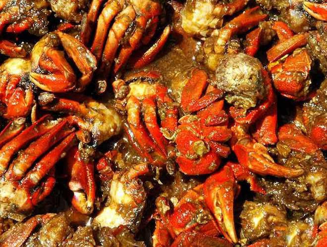 Mắm ba khía Rạch Gốc: Chắc hẳn những ai từng đặt chân đến mảnh đất Cà Mau này đều không thể bỏ lỡ việc thưởng thức món mắm ba khía của người dân nơi đây, món được mệnh danh “ăn một lần, nhớ một đời”. Mắm ba khía thơm ngon đậm đà, hương vị độc đáo, dù chan với cơm nguội ăn vẫn thấy ngon.