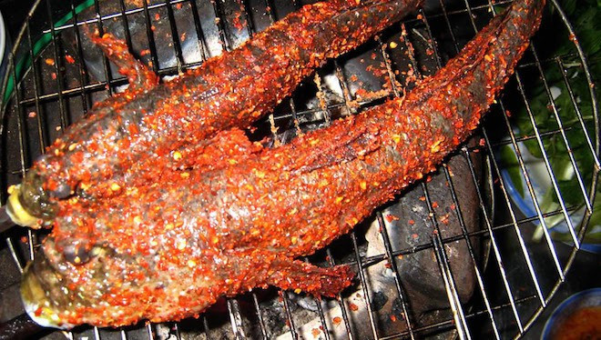 Cá thòi lòi nướng muối ớt: Cá thòi lòi (cá leo cây) chủ yếu sống ở vùng nước mặn, đặc biệt là ở nơi có cây đước, cây trám để chúng leo lên cây mỗi khi có nắng ấm. Cá thòi lòi thường được nấu canh chua, kho tộ hay nướng đều rất ngon mặc dù hình dạng của chúng rất xấu xí và dữ tợn.