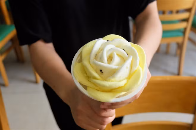 Một chiếc kem hoa hồng thông thường có giá 40.000 – 45.000 đồng. Đây là mức giá khá phù hợp với một chiếc kem to và kì công như vậy. Ảnh: Internet. Video "Chế biến món ngon từ nấm đông cô". Nguồn: VTC.