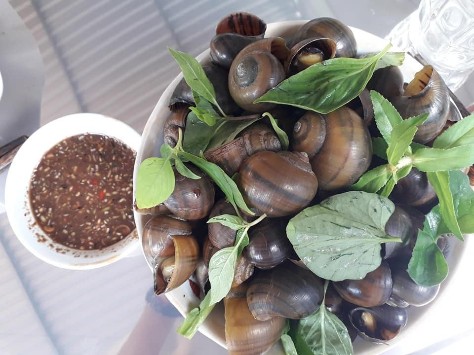  Ốc treo giàn bếp là một món tiếp khách ngày Tết của người dân Đồng Tháp. Cứ vào mùa lũ rút, nội đồng bắt đầu khô cạn, bà con xứ Đồng Tháp mới đi bắt ốc để dành bằng cách treo trên giàn bếp chờ những tháng khô hay những ngày Tết mới dùng đến.