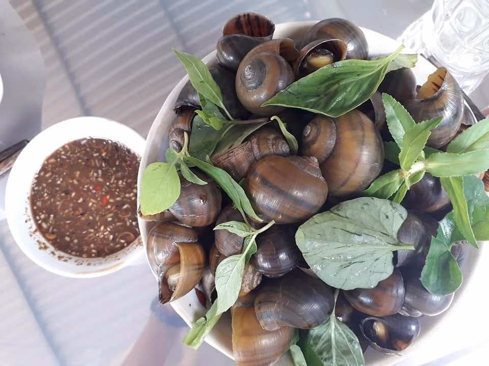  Ốc treo giàn bếp là một món tiếp khách ngày Tết của người dân Đồng Tháp. Cứ vào mùa lũ rút, nội đồng bắt đầu khô cạn, bà con xứ Đồng Tháp mới đi bắt ốc để dành bằng cách treo trên giàn bếp chờ những tháng khô hay những ngày Tết mới dùng đến.