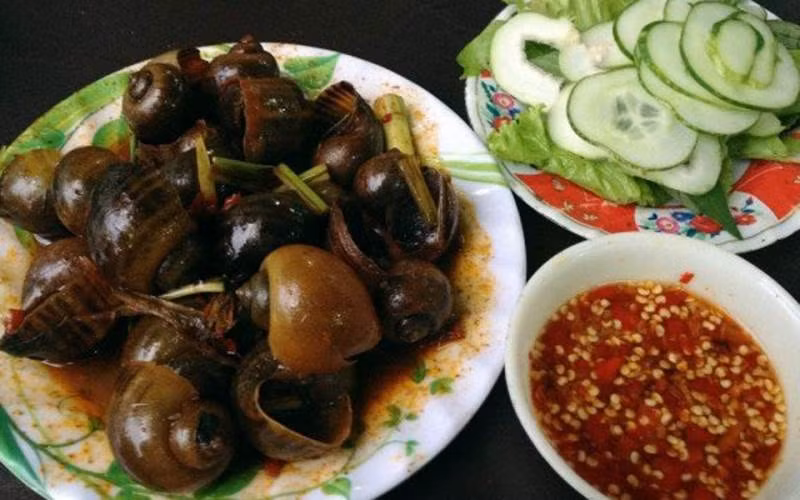 Ốc lác treo giàn bếp thường lựa loại to, khi cần sử dụng con nào cũng mím miệng cạy khó ra, mình ốc có màu xám như đang thiếu nước. Chuẩn bị cho một buổi tiệc, sau khi rửa sạch hết bụi bặm, ta sắp ốc vào một nắp khạp có chứa sẵn nước quậy trứng gà cho ốc uống; những con ốc nghe có nước bắt đầu cục cựa, há miệng, quơ râu uống nước.