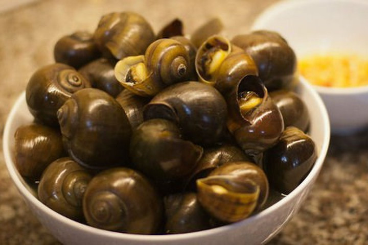 Mùa nào cũng vậy, ốc bắt được đem về rửa sạch, đựng trong giỏ đan bằng tre rồi đem treo chỗ cao trên giàn bếp. Ốc lác treo giàn bếp để lâu 4-5 tháng vẫn sống. Ốc treo giàn bếp béo mập, để hàng ngày khi nấu cơm khói xông vào giỏ đựng ốc, ốc sẽ ngửi khói xông lên là đạt yêu cầu.