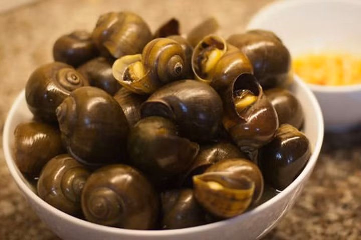 Mùa nào cũng vậy, ốc bắt được đem về rửa sạch, đựng trong giỏ đan bằng tre rồi đem treo chỗ cao trên giàn bếp. Ốc lác treo giàn bếp để lâu 4-5 tháng vẫn sống. Ốc treo giàn bếp béo mập, để hàng ngày khi nấu cơm khói xông vào giỏ đựng ốc, ốc sẽ ngửi khói xông lên là đạt yêu cầu.