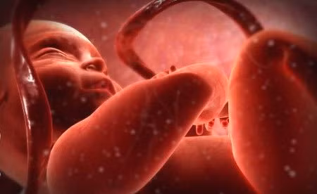 Soc: Be 1 thang tuoi da mac giang mai... nguyen nhan, cach phong ngua?-Hinh-2