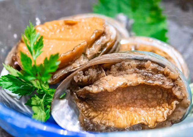 Ngày xưa, đây là món ăn dành cho giới thượng lưu. Tuy nhiên, hiện nay món ăn này đã dần phổ biến. Bạn có thể mua bào như với mức giá trung bình từ khoảng 700.000-1.500.000 đồng/kg để chế biến thành các món ăn bồi bổ cho các thành viên trong gia đình. Ảnh: Internet. Mời độc giả theo dõi video "Chế biến món ngon từ nấm đông cô". Nguồn: VTC.