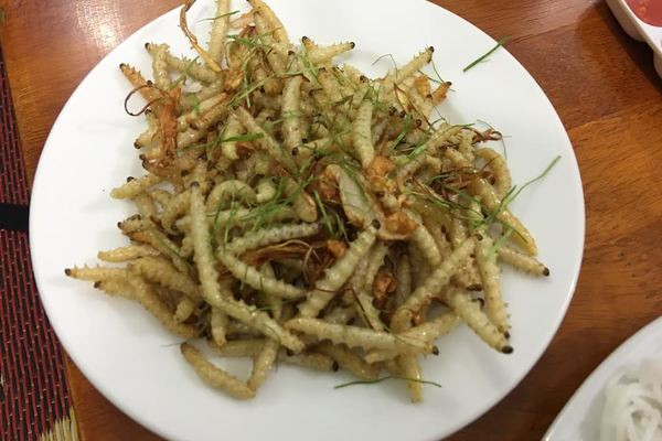 Sâu măng: Sâu nằm trong thân cây măng nứa. Sâu măng được chế biến thành nhiều món như sâu măng om, chiên giòn, luộc… nhưng được ưa chuộng nhất vẫn là sâu măng xào. Sâu chít có màu trắng sữa, thân căng mọng. Theo lời người dân bản địa, sâu chít là món ăn tăng cường sinh lực cho người đàn ông. Đây không phải món ăn phổ biến để nhiều người ăn nhưng là một gợi ý để tìm sự mới mẻ.