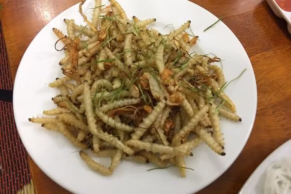 Sâu măng: Sâu nằm trong thân cây măng nứa. Sâu măng được chế biến thành nhiều món như sâu măng om, chiên giòn, luộc… nhưng được ưa chuộng nhất vẫn là sâu măng xào. Sâu chít có màu trắng sữa, thân căng mọng. Theo lời người dân bản địa, sâu chít là món ăn tăng cường sinh lực cho người đàn ông. Đây không phải món ăn phổ biến để nhiều người ăn nhưng là một gợi ý để tìm sự mới mẻ.