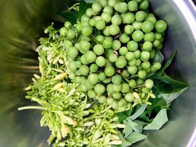 Tuy nhiên, đây lại là món ăn rất thanh mát và có giá trị như bài thuốc giúp cải thiện tiêu hóa, phòng chống ung thư. Một lần đến Pù Luông, du khách cũng nên thử món này để cảm nhận hương vị dân dã vùng cao.