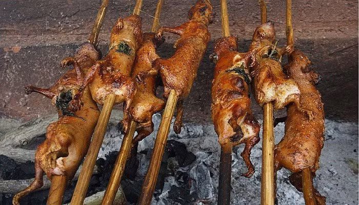 Hai món nổi tiếng nhất làm từ chuột lang ở Peru là cuy chactado, cuy al palo. Cuy chactado là đặc sản vùng Arequipa với thịt ép chặt bằng đá rồi chiên giòn, còn cuy al palo là chuột lang quay trên bếp than.