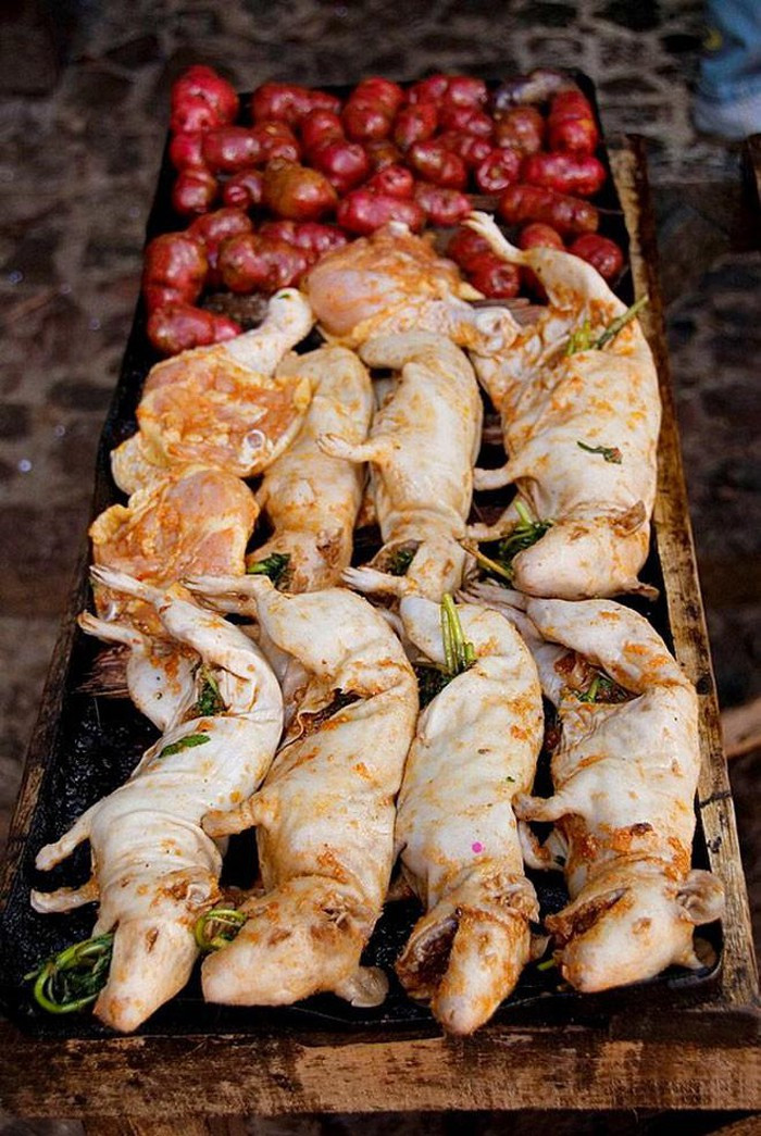 Thịt chuột lang khi chế biến thành món ăn sẽ được giữ nguyên con.