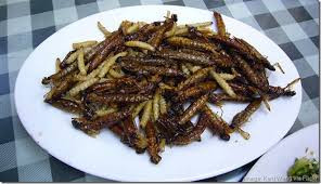 Chuồn chuồn chiên (Indonesia): Theo những người sành ăn, chuồn chuồn có vị rất ngon và mềm như thịt cua. Chuồn chuồn thường được chiên giòn hoặc chiên với chả lá lốt, đây là những món ăn đặc sản ở Indonesia và các nước ở châu Á. Ảnh: Internet. Mời độc giả theo dõi video "Chế biến món ngon từ nấm đông cô". Nguồn: VTC.