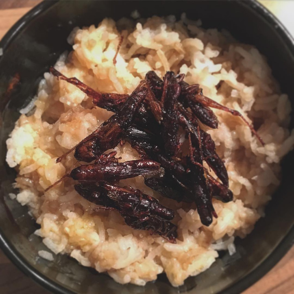 Inago (Nhật Bản): Món châu chấu chiên giòn gắn với bao thế hệ tuổi thơ người Việt có tên gọi là inago ở Nhật. Ở xứ Phù Tang, châu chấu được tẩm ướp tương đậu hũ và đường, sau đó người ta đem chiên giòn.