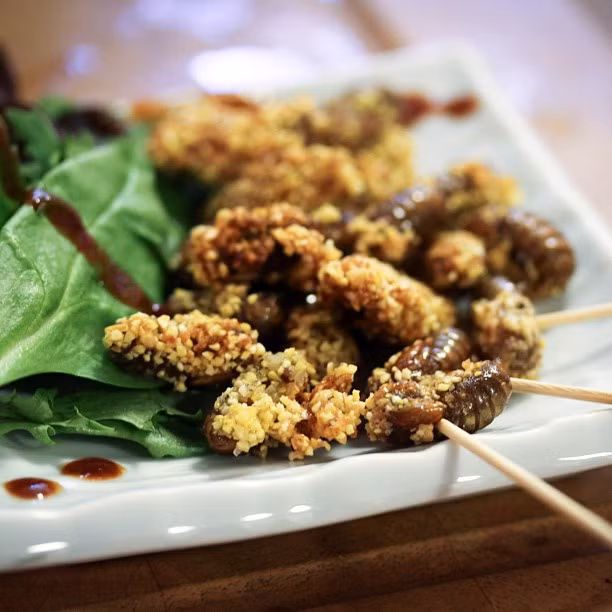 Ve sầu chiên (Nhật Bản): Các món ăn từ côn trùng được biết đến với hàm lượng đạm cao, ít chất béo, bổ dưỡng. Tại Nhật Bản, ve sầu thường được chiên giòn cùng bột, ăn kèm cùng sốt chấm đậm đà, khá hấp dẫn.