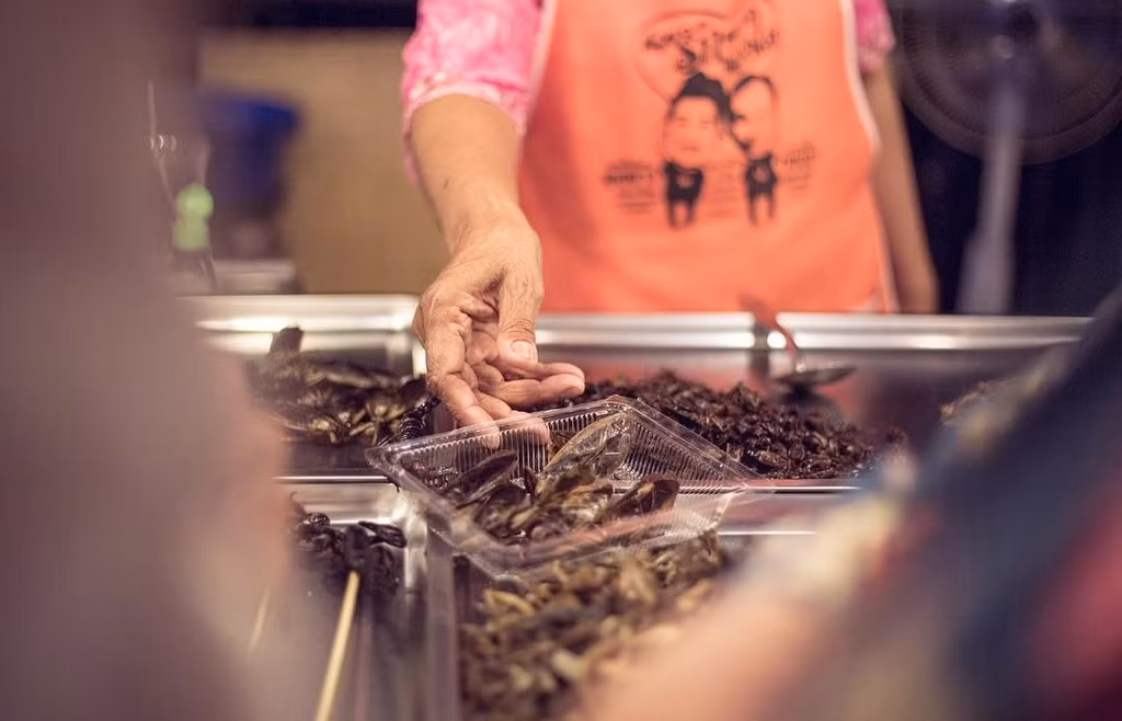 Gián chiên (Trung Quốc): Món ăn khiến không ít người hoảng sợ này lại là một đặc sản nổi tiếng giàu chất đạm ở nhiều vùng của Trung Quốc. Gián được nuôi sạch sau đó chế biến theo nhiều kiểu như nướng, luộc, chiên hoặc xào. Trong đó, món gián chiên được nhiều người yêu thích nhất.