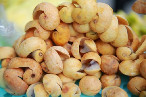 Quả sấu chín vàng đã không còn vị chua gắt như những quả sấu còn xanh mà thay vào đó là một vị chua dịu.