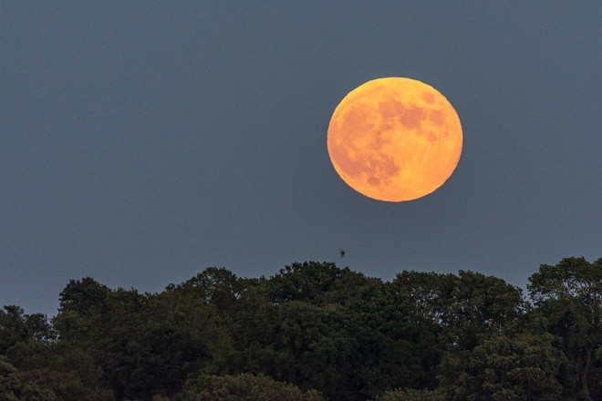 Nguyệt thực nửa tối chụp tại hồ nước Rutland Water ở Rutland (Anh). Đây là đợt nguyệt thực thứ 2 trong năm 2020, trước đó lần nguyệt thực đầu tiên đã diễn ra vào ngày 10/1. Ảnh: Richard.